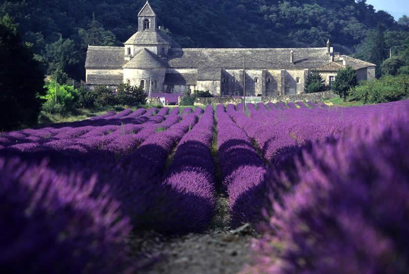 Gite Hanna En Luberon - Le Boisset De St Martin De Castillon Saint-Martin-de-Castillon Bagian luar foto
